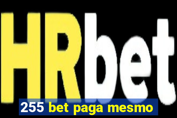 255 bet paga mesmo